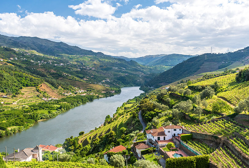 Vila Nova de Foz Ca, Douro River